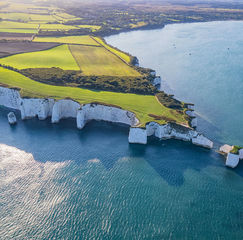 Clifftop farmland above the sea with striking white chalk cliffs along the UK coastline