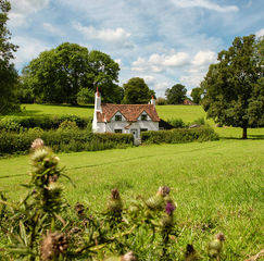 Traditional white cottage with a red tiled roof set among fields and mature trees in the countryside
