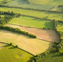 Patchwork fields and farmland with hedgerows in the English countryside, ideal for working farms