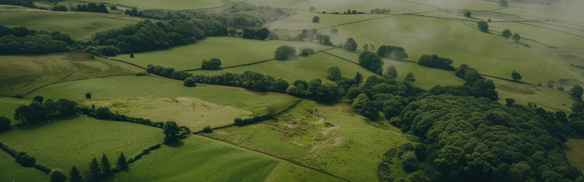 Aerial view of rolling green farmland and fields in the UK countryside with woodland and hedgerows