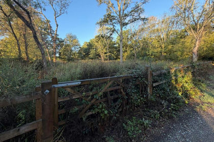 Small Plot of Land for sale in Rayleigh