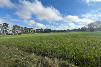 63.1 acres of Agricultural Land for sale in Burstall