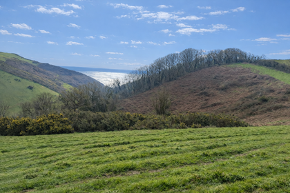 90 acres of Agricultural Land for sale in Kingsbridge