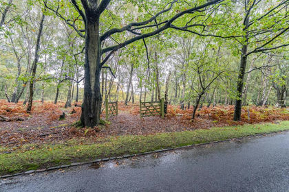 4.5 acres of Woodland for sale in Brindley Heath