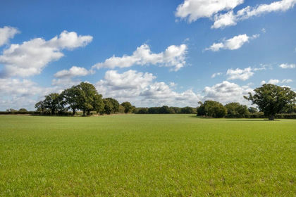 55.1 acres of Agricultural Land for sale in Biddenden
