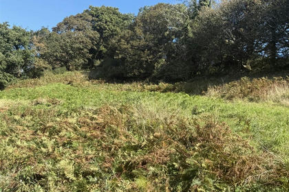 Development Land for sale in Treverbyn