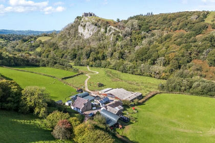 183 acres of Agricultural Land for sale in Cyngor Bro Dyffryn Cennen