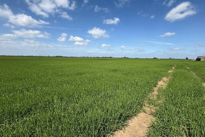 256.3 acres of Agricultural Land for sale in Amber Hill