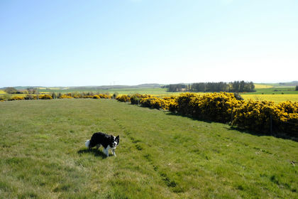 6.5 acres of Undeveloped Land for sale in