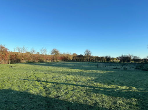 Self Build Plot for sale in Diss
