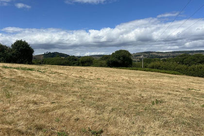 2.5 acres of Cheap Land for sale in Whitchurch Canonicorum