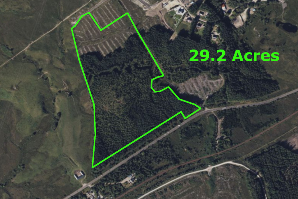 29.2 Acres of Woodland by Auction in Spean Bridge, Highland | LandSale