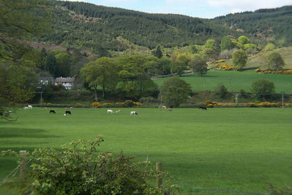 Building Plot for sale in Argyll, Bute and South Lochaber