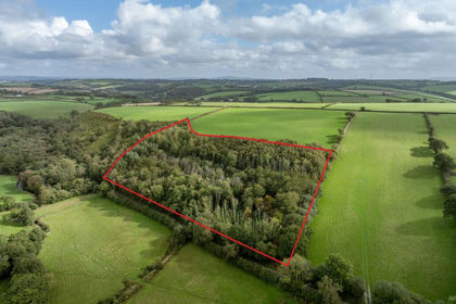 6.1 acres of Woodland for sale in North Tamerton