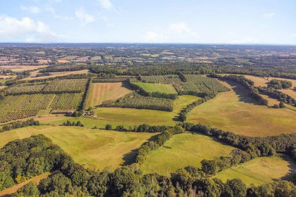 164.4 acres of Agricultural Land for sale in Sedlescombe