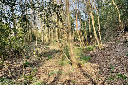 Recreational Land for sale in Smeeth