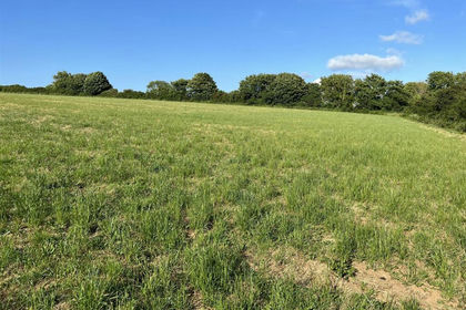 32.3 acres of Agricultural Land for sale in Letterston