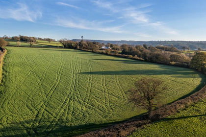 15.5 acres of Agricultural Land for sale in Thorncombe