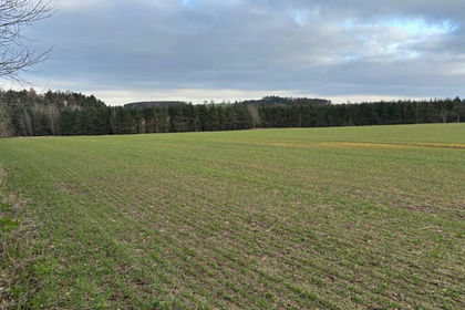 47.7 acres of Agricultural Land for sale in Thirston