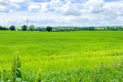 Development Land for sale in Hamilton and Clyde Valley