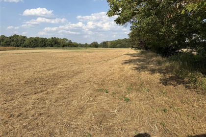 8.4 acres of For sale in Beck Row, Holywell Row and Kenny Hill