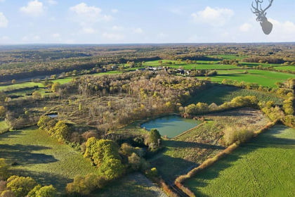 34.5 acres of Undeveloped Land for sale in Brickendon Liberty