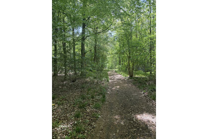 3.8 acres of For sale in Lincolnshire
