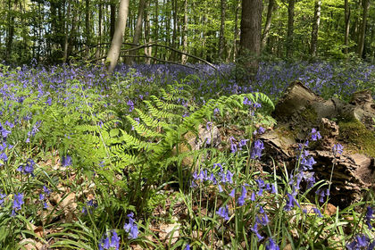 4.5 acres of For sale in West Yorkshire