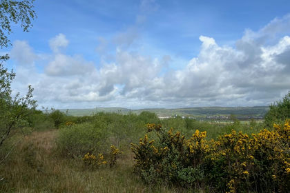 33 acres of Timberland for sale in Llangyndeyrn