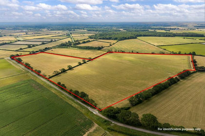 40 acres of Arable Land for sale in Horsington