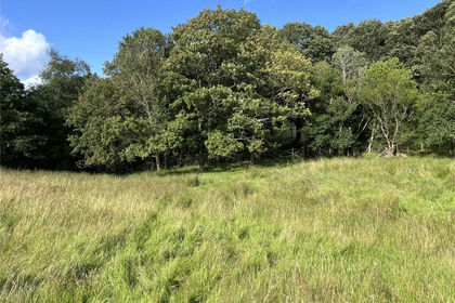 14.6 acres of Agricultural Land for sale in Staveley-in-Cartmel