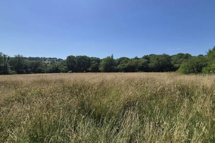 21.4 acres of Agricultural Land for sale in Llangeitho