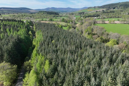 11.2 acres of Agricultural Land for sale in West Aberdeenshire and Kincardine