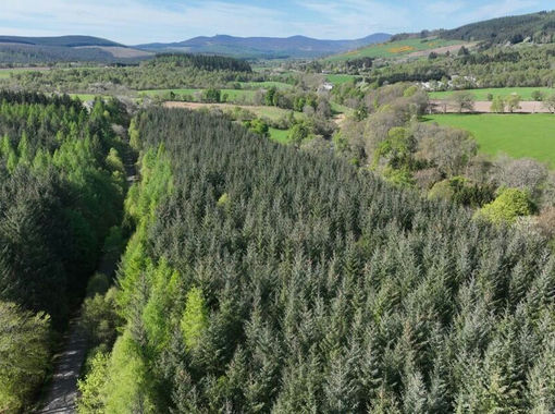 11.2 acres of Timberland for sale in West Aberdeenshire and Kincardine