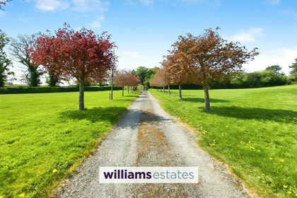 2.8 acres of House with Land for sale in Gwernaffield with Pantymwyn