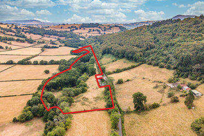 16.3 acres of Undeveloped Land for sale in Crucorney