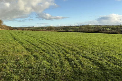 2 acres of Agricultural Land for sale in Puncheston