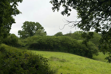 7 acres of Pasture for sale in Quethiock