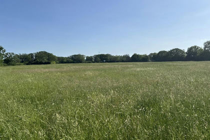 7 acres of Farmland for sale in Walsham-le-Willows
