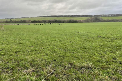 40.9 acres of Agricultural Land for sale in Over Haddon