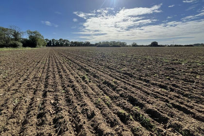 26.9 acres of Arable Land for sale in Gayton