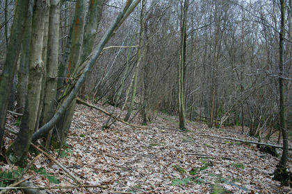 Cheap Land for sale in Ticehurst