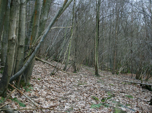 Cheap Land for sale in Ticehurst