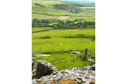 13.4 acres of Agricultural Land for sale in Lowick