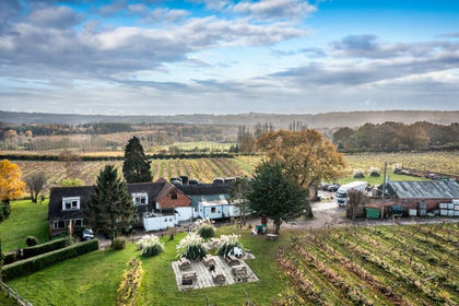 21 acres of Vineyard for sale in Westfield
