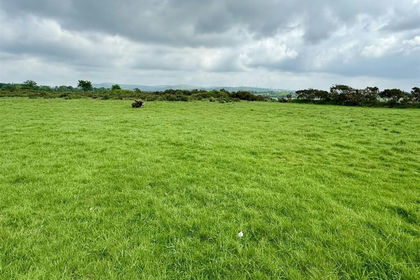 15 acres of Agricultural Land for sale in Llanedi