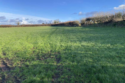 31.1 acres of Agricultural Land for sale in Diptford