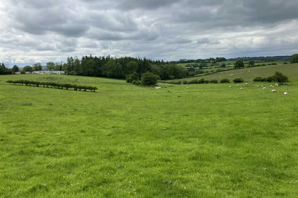 44.1 acres of Agricultural Land for sale in Edvin Loach and Saltmarshe