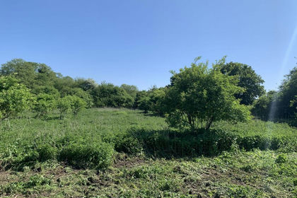 Undeveloped Land for sale in Funtington