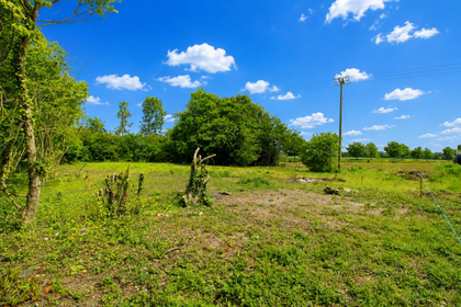 Self Build Plot for sale in White Roothing